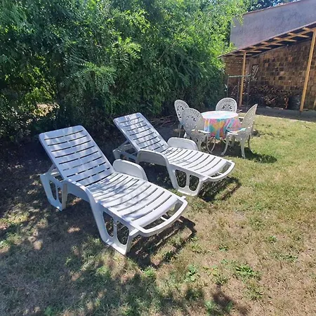 In - Balaton 31357 *