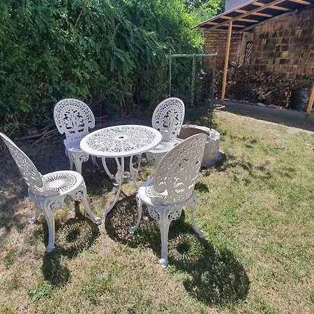 In - Balaton 31357 Feriehus Szántód